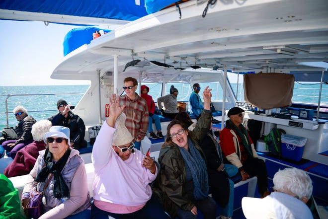 Whale Watching