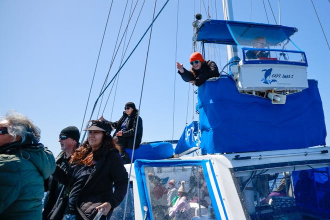 Whale Watching